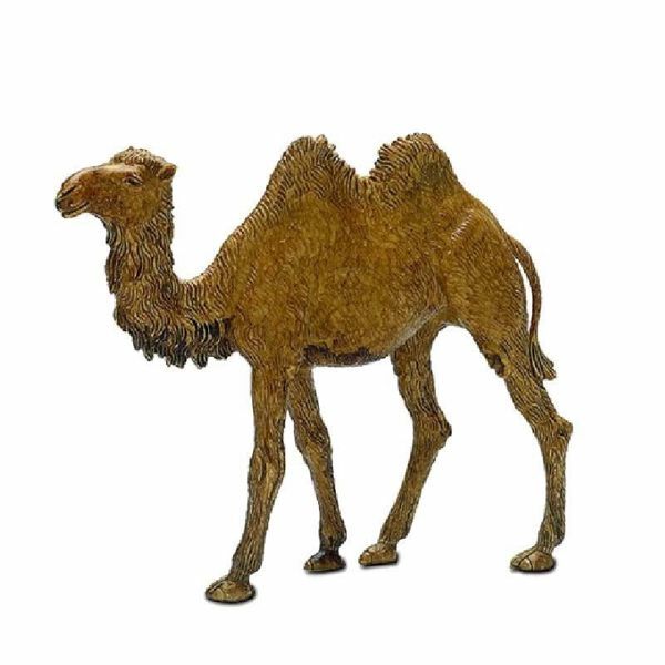 Camel Landi moranduzzo 