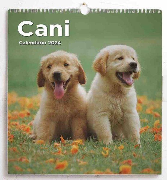 Calendario da muro 2024 Cani cm 31x33
