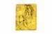 Immagine di Lourdes - Medaglia confraternita rettangolare, bagno oro o argento AMC 400