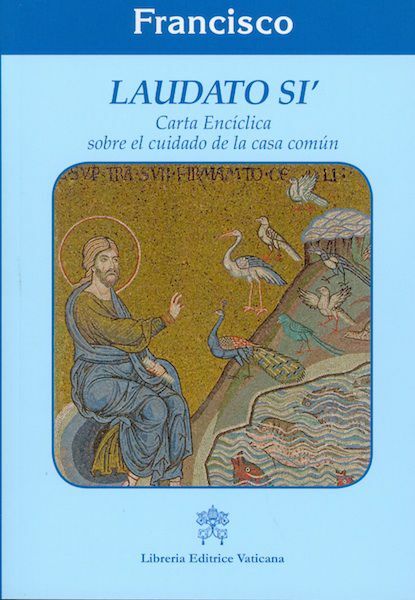 Imagen de Laudato Si' Carta Encíclica sobre el cuidado de la casa común