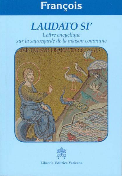Picture of Laudato Si' Lettre encyclique sur la sauvegarde de la maison commune
