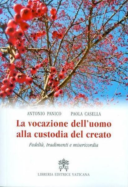 Imagen de La vocazione dell'uomo alla custodia del creato. Fedeltà, tradimenti e misericordia