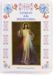 Picture of Novena alla Divina Misericordia - custodia con libro e rosario
