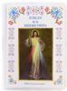 Imagen de Novena a la Divina Misericordia - portarosario y libro