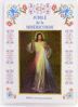 Picture of Neuvaine de la Miséricorde Divine - Étui avec chapelet et livre