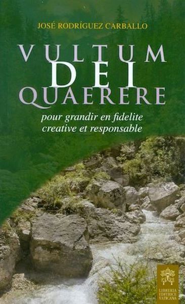 Imagen de Vultum Dei Quaerere pour grandir en fidelité creative et responsable