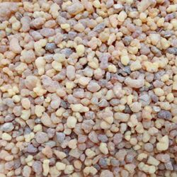 Picture of Olibanum from Sudan 500 gr (1,1 lb) Classic liturgical Frankincense for Churches