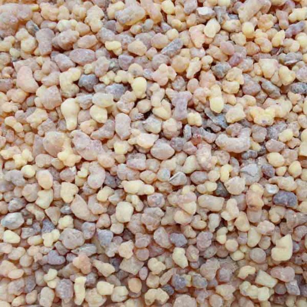 Immagine di Franchincenso Olibano (Sudan) naturale 500 gr classico in grani