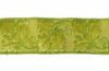 Immagine di Gallone Quercia oro e colore H. 4 cm