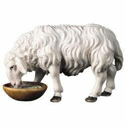 Picture of Sheep drinking cm 16 (6,3 inch) Hand Painted Shepherd Nativity Scene classic Val Gardena wooden Statue peasant style
