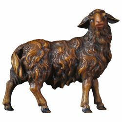 Picture of Sheep looking to the right cm 16 (6,3 inch) Hand Painted Shepherd Nativity Scene classic Val Gardena wooden Statue peasant style