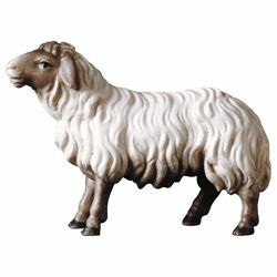 Picture of Sheep looking forward cm 16 (6,3 inch) Hand Painted Shepherd Nativity Scene classic Val Gardena wooden Statue peasant style