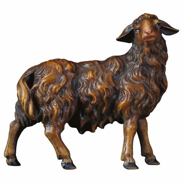 Picture of Sheep looking to the right cm 50 (19,7 inch) Hand Painted Shepherd Nativity Scene classic Val Gardena wooden Statue peasant style