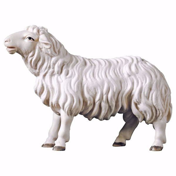 Picture of Sheep looking forward cm 10 (3,9 inch) hand painted Ulrich Nativity Scene Val Gardena wooden Statue baroque style