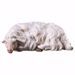 Picture of Sleeping Sheep cm 12 (4,7 inch) hand painted Ulrich Nativity Scene Val Gardena wooden Statue baroque style