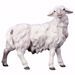 Picture of Sheep looking to the right cm 12 (4,7 inch) hand painted Ulrich Nativity Scene Val Gardena wooden Statue baroque style