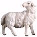 Picture of Sheep looking backwards cm 12 (4,7 inch) hand painted Ulrich Nativity Scene Val Gardena wooden Statue baroque style