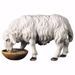 Picture of Sheep drinking cm 15 (5,9 inch) hand painted Ulrich Nativity Scene Val Gardena wooden Statue baroque style