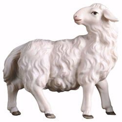Picture of Sheep looking backwards cm 23 (9,1 inch) hand painted Ulrich Nativity Scene Val Gardena wooden Statue baroque style
