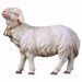 Picture of Sheep looking forward with Bell cm 10 (3,9 inch) hand painted Ulrich Nativity Scene Val Gardena wooden Statue baroque style