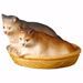 Picture of Cats in the basket cm 15 (5,9 inch) hand painted Ulrich Nativity Scene Val Gardena wooden Statue baroque style