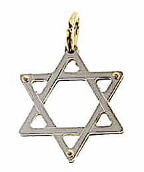 Picture of 6-pointed Star of David Shield Double Pendant gr 1,3 Bicolour yellow white Gold 18k Unisex Woman Man 