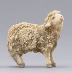 Picture of Lamb standing cm 10 (3,9 inch) Immanuel dressed Nativity Scene oriental style Val Gardena wood 