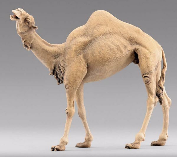 Imagen de Camello de pie cm 12 (4,7 inch) Pesebre vestido Hannah Alpin en madera Val Gardena