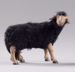 Imagen de Oveja negra con lana cm 12 (4,7 inch) Pesebre vestido Hannah Alpin en madera Val Gardena