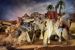 Imagen de Grupo Camellero con Camello 2 piezas cm 12 (4,7 inch) Pesebre vestido Hannah Orient estatuas en madera Val Gardena con trajes de tela