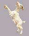 Picture of Goat climbing cm 14 (5,5 inch) Hannah Alpin dressed Nativity Scene in Val Gardena wood