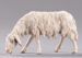 Picture of Sheep eating cm 40 (15,7 inch) Hannah Alpin dressed Nativity Scene in Val Gardena wood