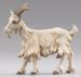 Picture of Goat standing cm 14 (5,5 inch) Hannah Orient dressed Nativity Scene in Val Gardena wood