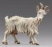 Picture of Goat looking rightward cm 20 (7,9 inch) Hannah Alpin dressed Nativity Scene in Val Gardena wood