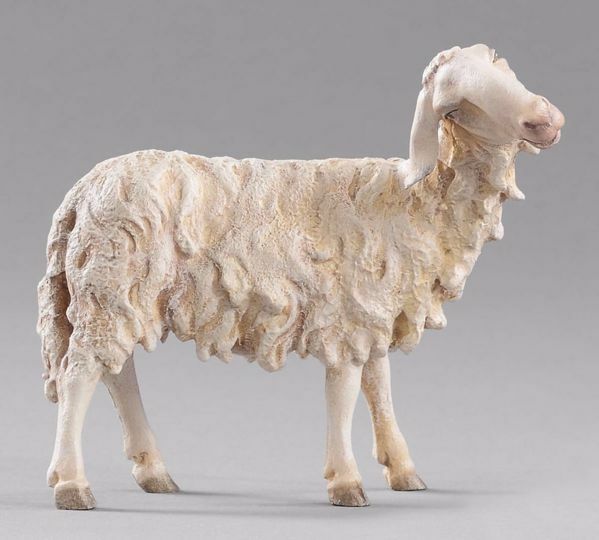 Picture of Sheep looking rightwards cm 20 (7,9 inch) Hannah Alpin dressed Nativity Scene in Val Gardena wood