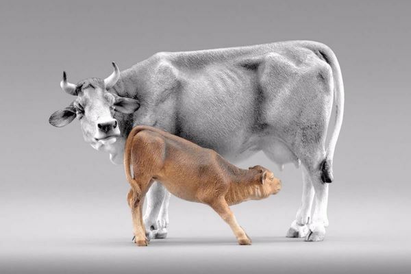 Immagine di Vitello Presepe Hannah Orient 30 cm orientale legno e tessuto
