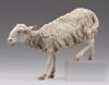 Picture of Sheep cm (for step) Hannah Alpin Nativity 30 cm (11,8 inch) rustic wood & fabric