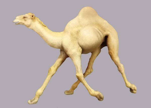 Imagen de Camello que corre cm 10 (3,9 inch) Belén para vestir Homobono de madera y cobre 