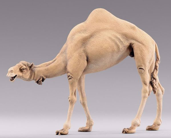Imagen de Camello cabeza baja cm 40 (15,7 inch) Belén para vestir Homobono de madera y cobre 