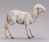 Picture of Lamb DIY Homobonus Nativity 30 cm (11,8 inch) wood