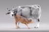 Picture of Calf DIY Homobonus Nativity 30 cm (11,8 inch) wood