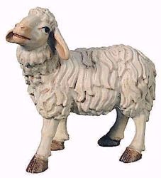 Picture of Standing Sheep cm 13 (5,1 inch) Raffaello Nativity Scene traditional style oil colours Val Gardena wood