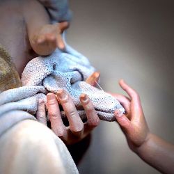 Immagine per la categoria Presepi di Natale: Scegli i Materiali