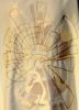 Picture of Modern Chasuble | Roll collar | Embroidery | Vatican fabric