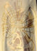 Immagine di Casula moderna Collo ad Anello ricamo diretto moderno Tela Vaticana Avorio Rosso Verde Viola
