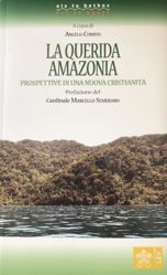 Immagine di La Querida Amazonia. Prospettiva di una nuova Cristianità Angelo Comito