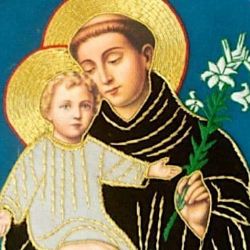 Immagine per la categoria San Giuseppe: Articoli Religiosi e Oggettistica