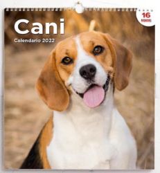 Picture of Dogs 2022 wall Calendar cm 31x33 (12,2x13 in)