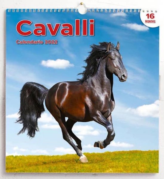 Picture of Chevaux Calendrier mural 2022 cm 31x33