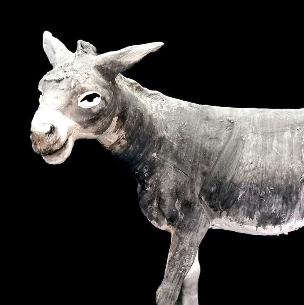 Picture of Donkey cm 16 (6,3 inch) Velardita Sicilian Nativity in Terracotta 